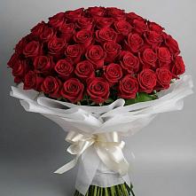 Букет 101 Красная роза Блэк Мэджик в Поселке имени Свердлова