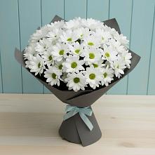 Букет цветов из:  Хризантемы в Поселке имени Свердлова