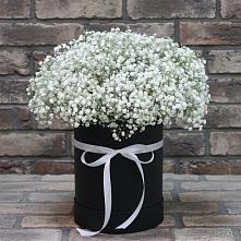 Цветочная композиция из Гипсофила в шляпной коробке в Поселке имени Свердлова