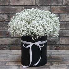 Цветочная композиция из Гипсофила в шляпной коробке в Поселке имени Свердлова